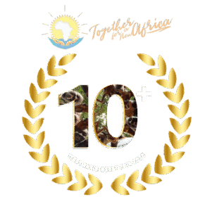 10 YEARS ANNIVERSARY TransparentWhite